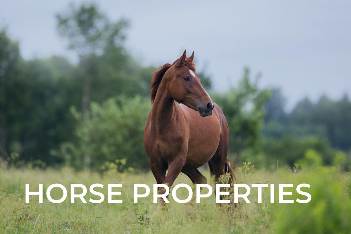 Horse Ranches Land And Equestrian Farms For Sale Horse Property By Michigan Lifestyle Properties